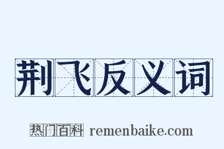 荆飞反义词是什么意思的图片